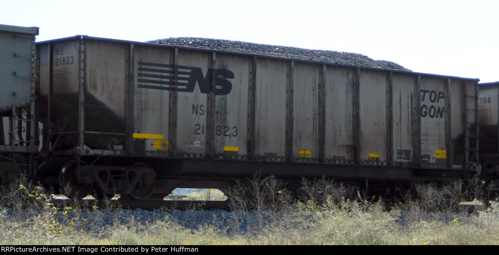 NS 21823